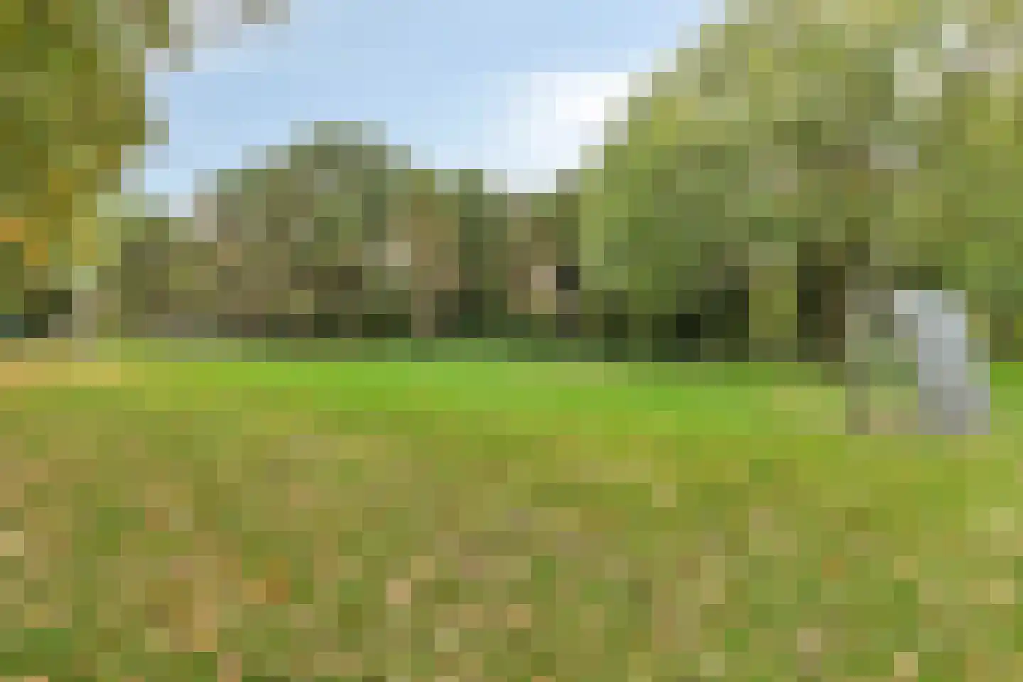 Parkhof 81 Amsterdam thumbnail 48