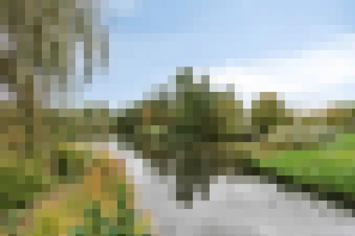 Parkhof 81 Amsterdam thumbnail 49