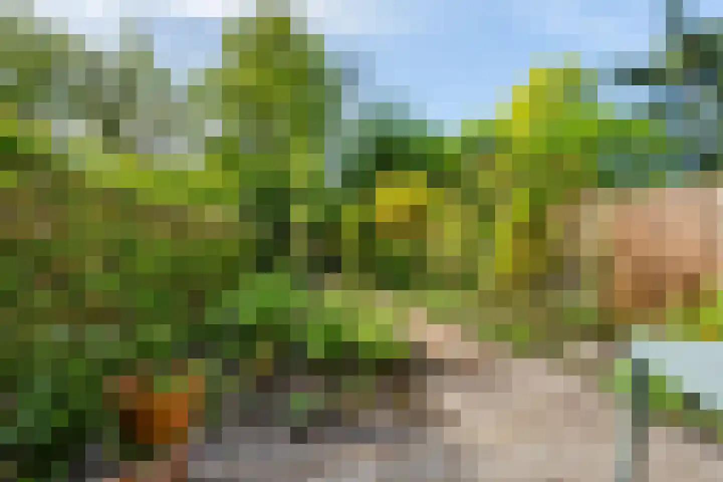 Parkhof 81 Amsterdam thumbnail 6