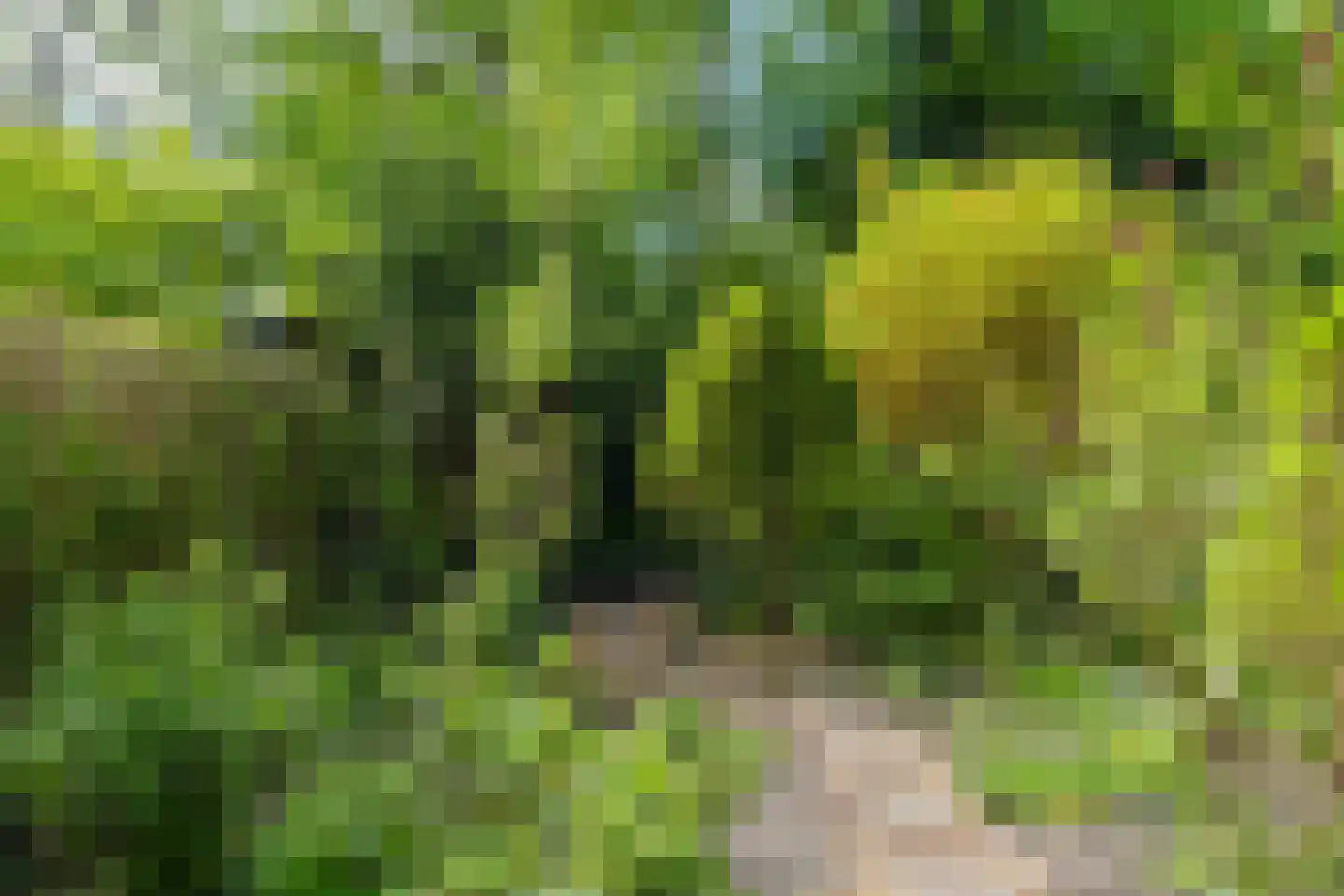 Parkhof 81 Amsterdam thumbnail 7