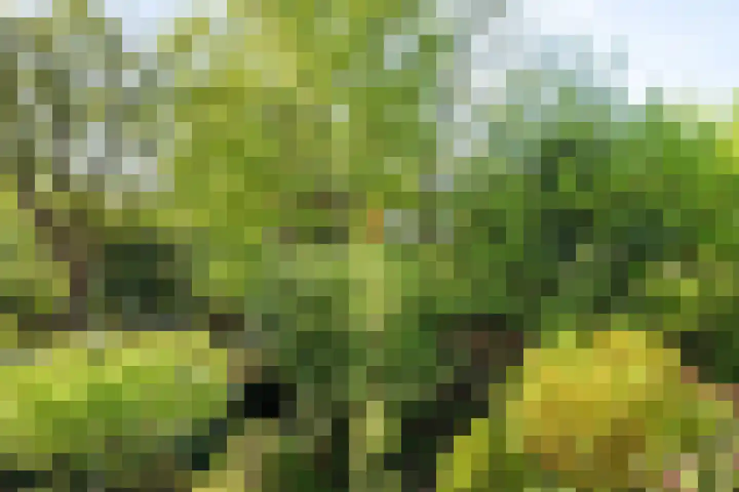 Parkhof 81 Amsterdam thumbnail 8