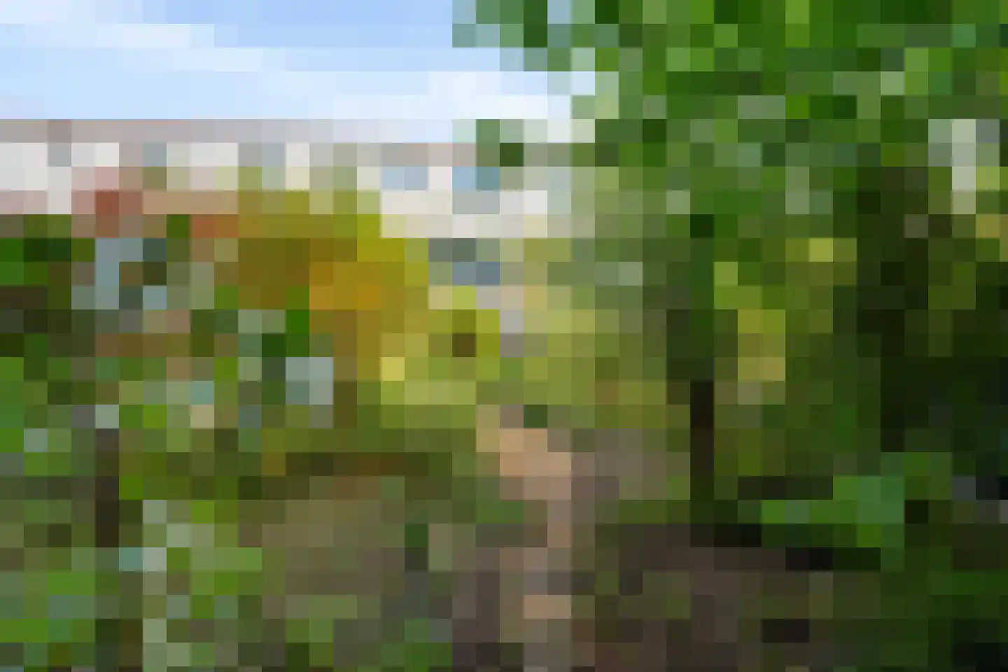 Parkhof 81 Amsterdam thumbnail 9