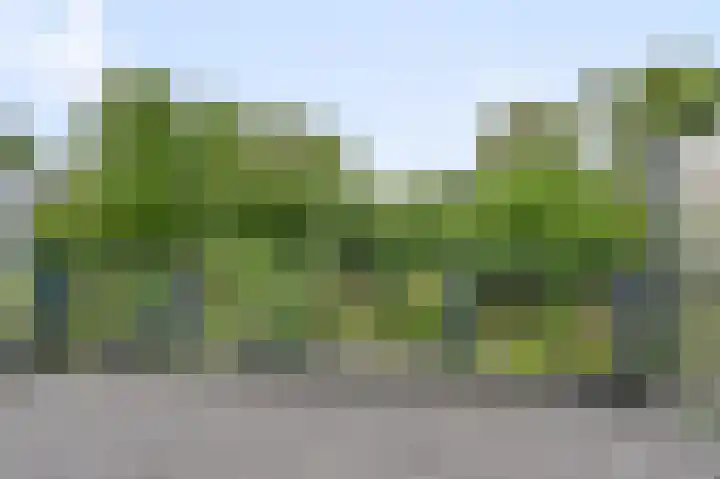 Parkhof 83 Amsterdam thumbnail 16