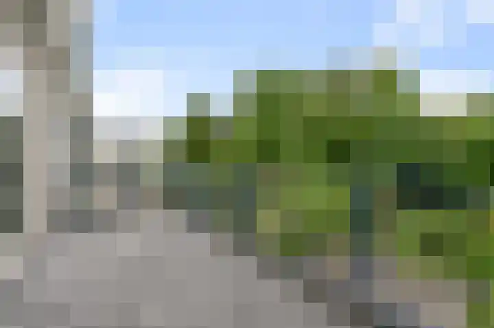 Parkhof 83 Amsterdam thumbnail 18