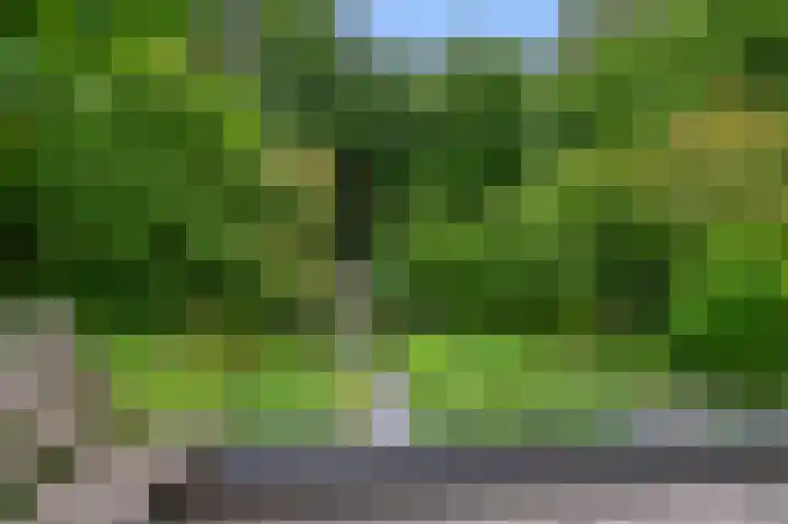 Parkhof 83 Amsterdam thumbnail 36