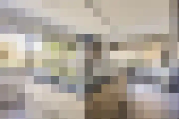 Parkhout 14 Houten thumbnail 19