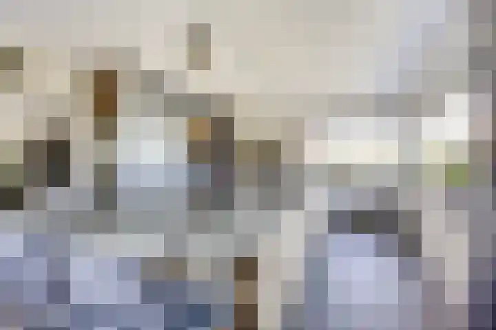 Parkhout 14 Houten thumbnail 22