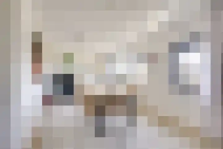 Parkhout 14 Houten thumbnail 43