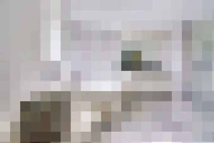 Parkhout 14 Houten thumbnail 48