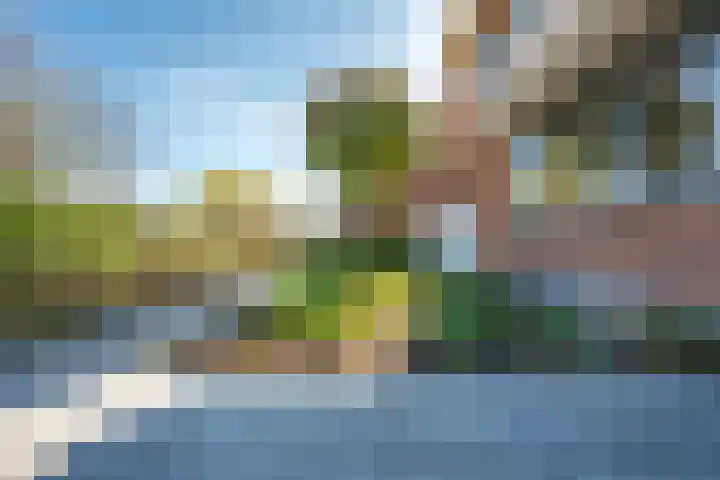 Parkhout 14 Houten thumbnail 74