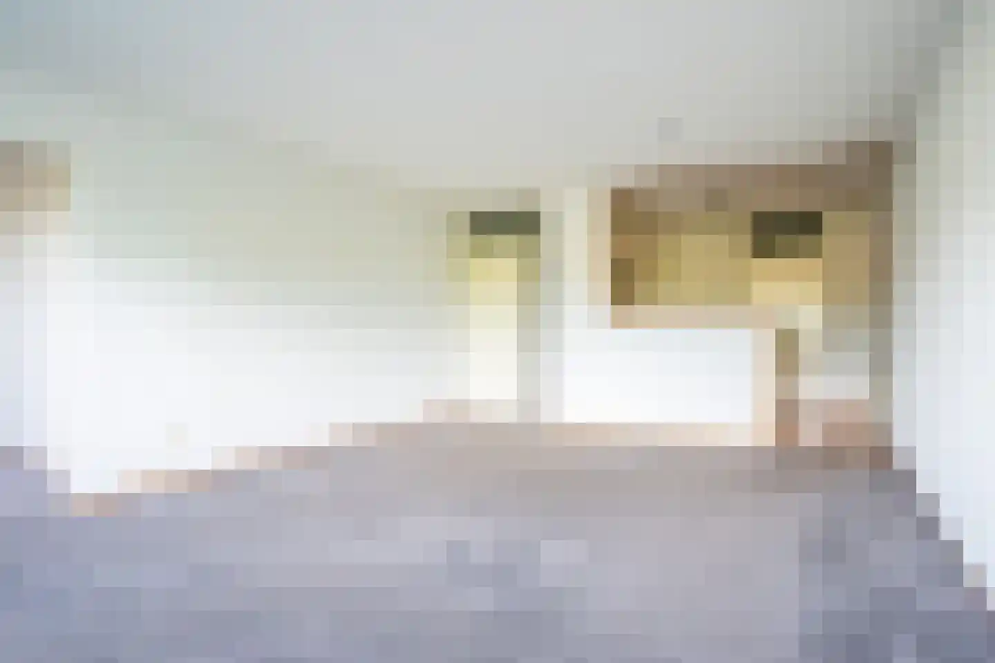 Parkhove 205 Sassenheim thumbnail 19