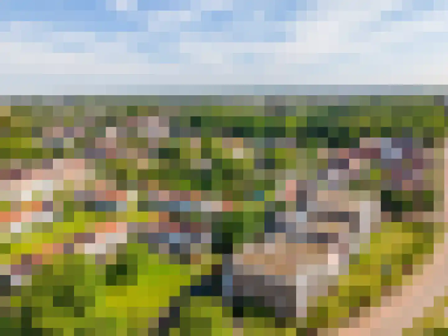 Parkhove 205 Sassenheim thumbnail 48