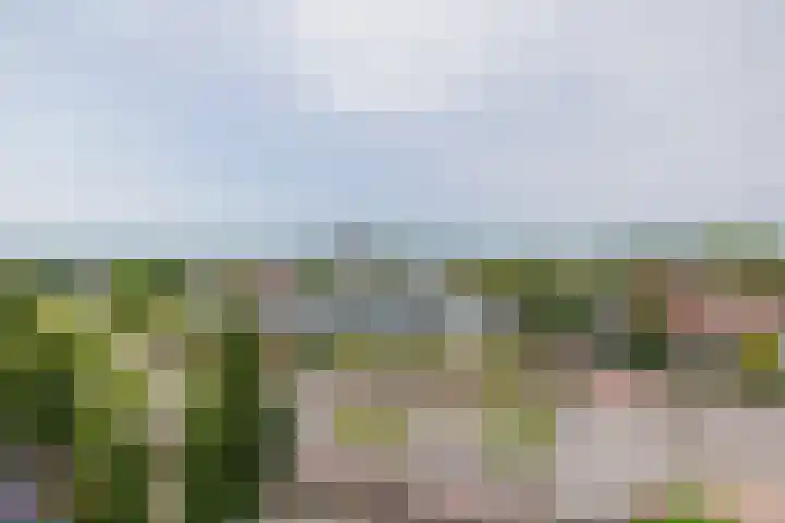 Parkhove 502 Sassenheim thumbnail 11