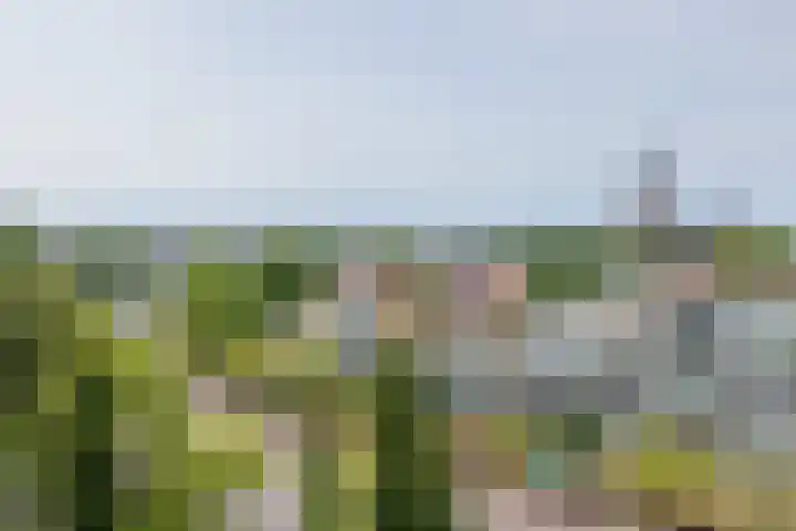 Parkhove 502 Sassenheim thumbnail 12