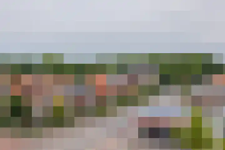 Parkhove 502 Sassenheim thumbnail 13