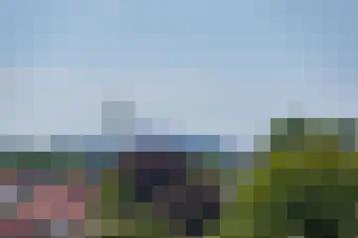 Parkhove 502 Sassenheim thumbnail 14