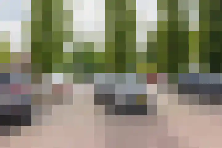 Parkhove 502 Sassenheim thumbnail 50