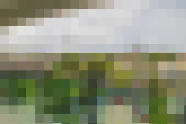 Parkhove 505 Sassenheim thumbnail 20