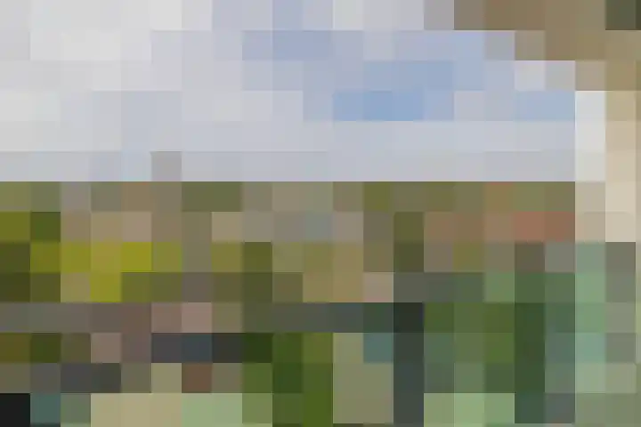 Parkhove 505 Sassenheim thumbnail 21