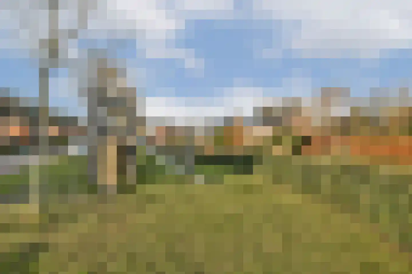 Parkhove 703 Sassenheim thumbnail 17