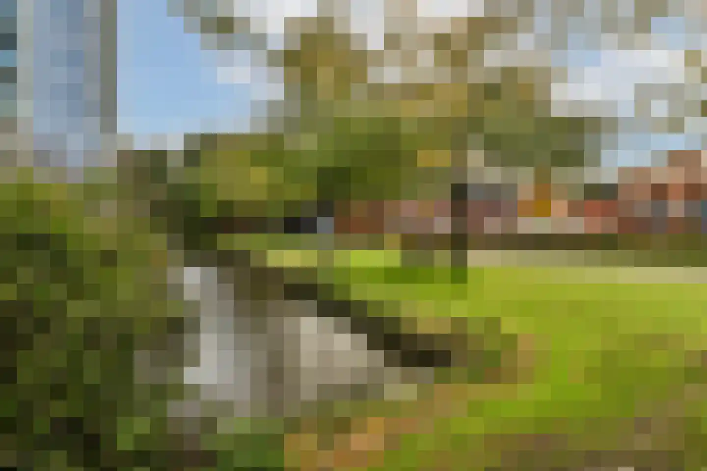 Parkhove 703 Sassenheim thumbnail 18