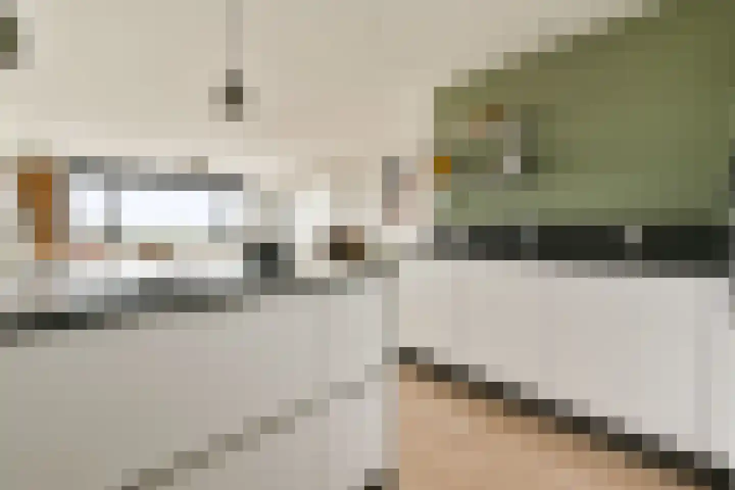 Parkhove 703 Sassenheim thumbnail 8