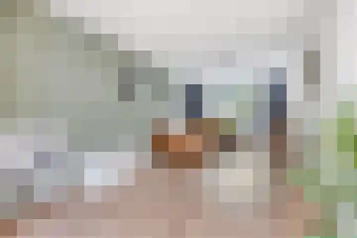 Parkietendonk 22 Veghel thumbnail 10