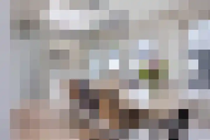 Parkietendonk 22 Veghel thumbnail 11