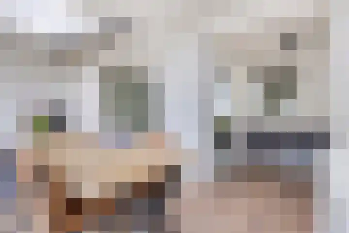 Parkietendonk 22 Veghel thumbnail 13