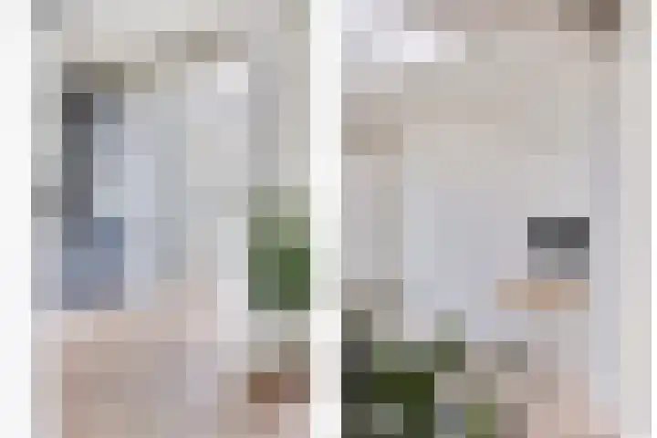 Parkietendonk 22 Veghel thumbnail 16