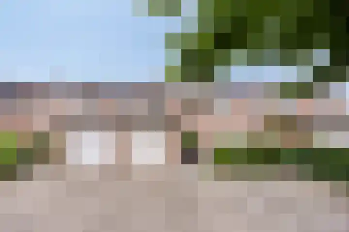 Parkietendonk 22 Veghel foto 2