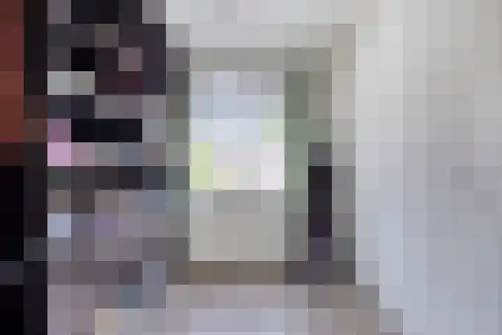 Parkietendonk 22 Veghel thumbnail 22