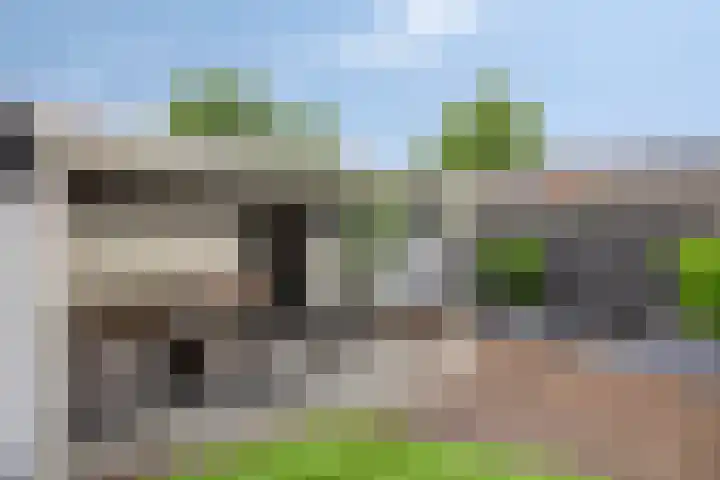 Parkietendonk 22 Veghel thumbnail 30