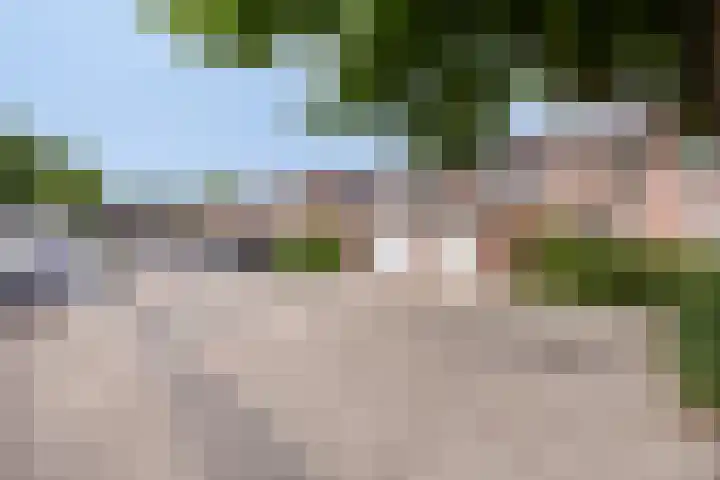 Parkietendonk 22 Veghel thumbnail 36