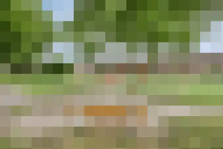 Parkietendonk 22 Veghel thumbnail 38