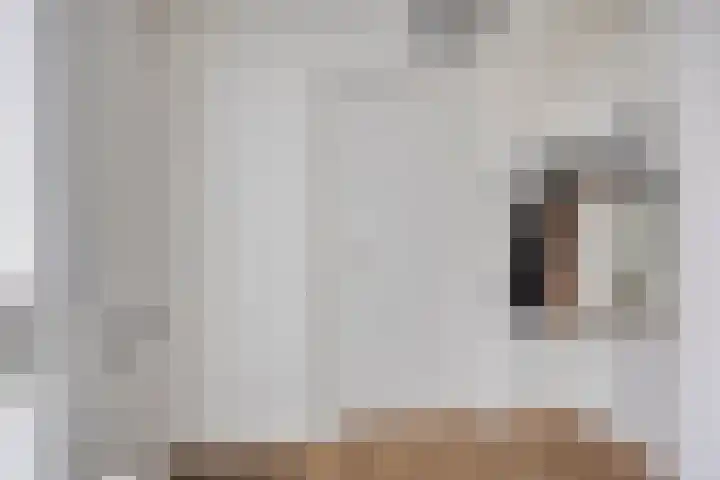 Parkietendonk 22 Veghel thumbnail 5