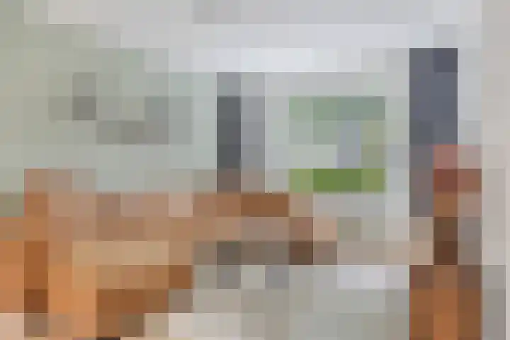 Parkietendonk 22 Veghel thumbnail 8