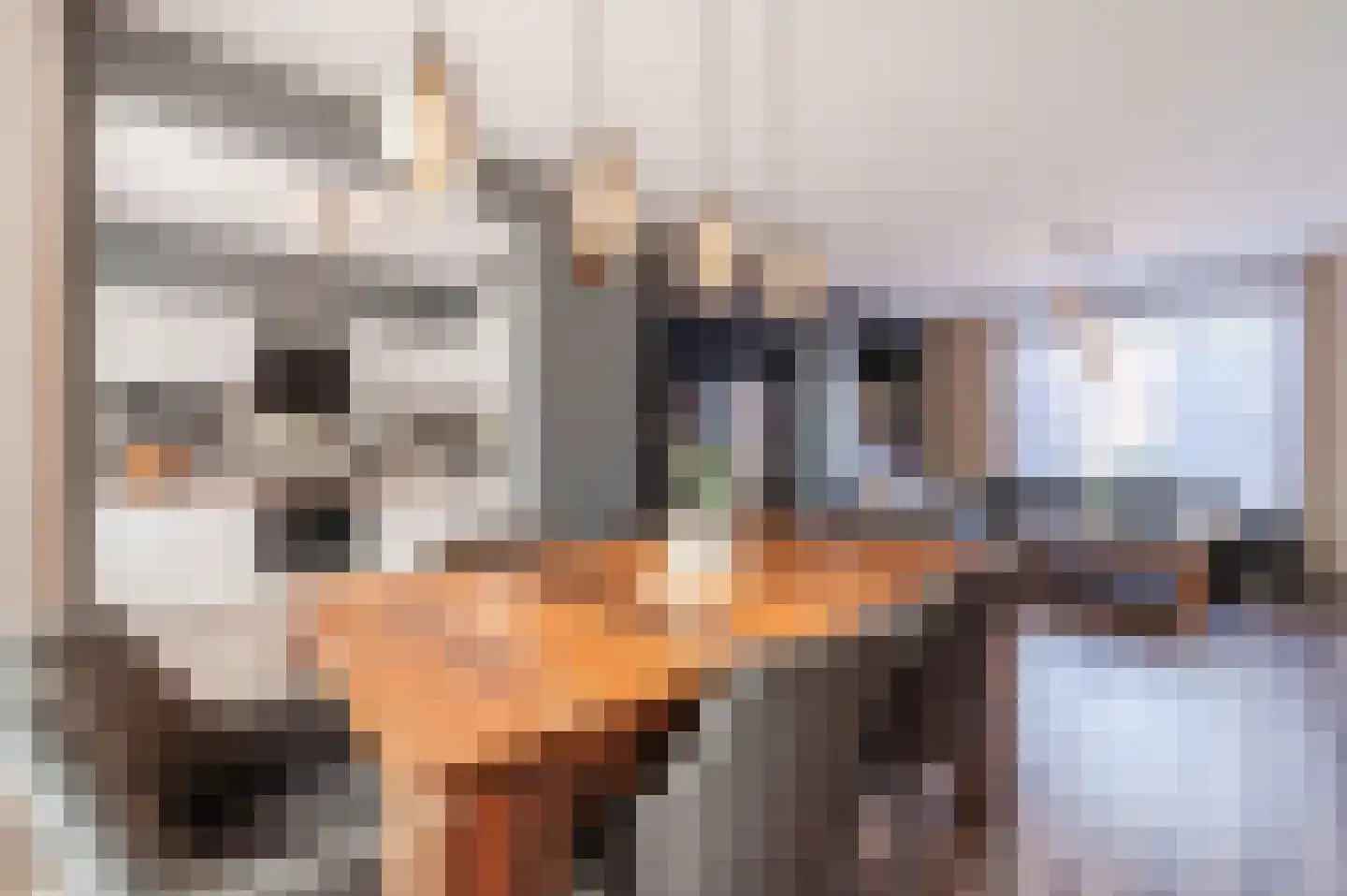 Parkietendonk 29 Veghel thumbnail 13