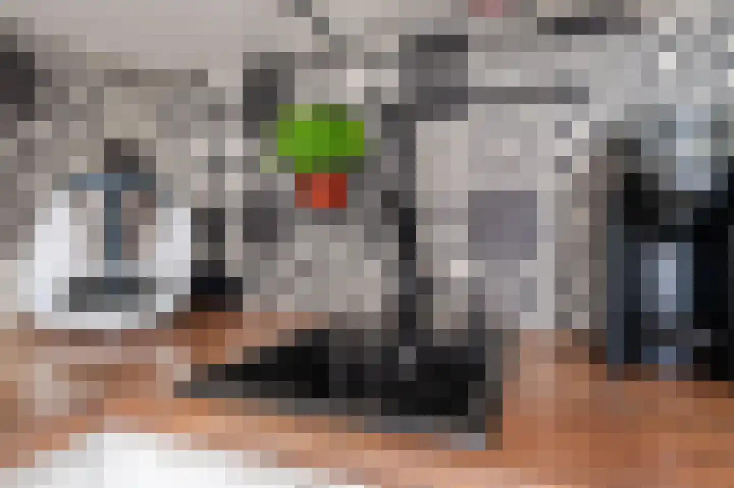 Parkietendonk 29 Veghel thumbnail 17