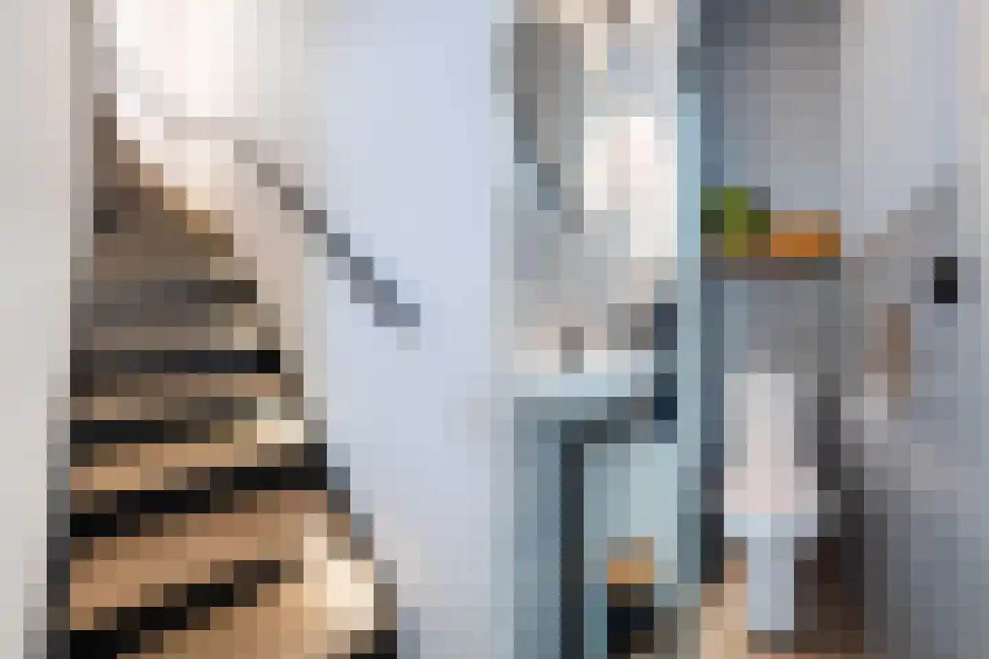 Parkietendonk 29 Veghel thumbnail 19