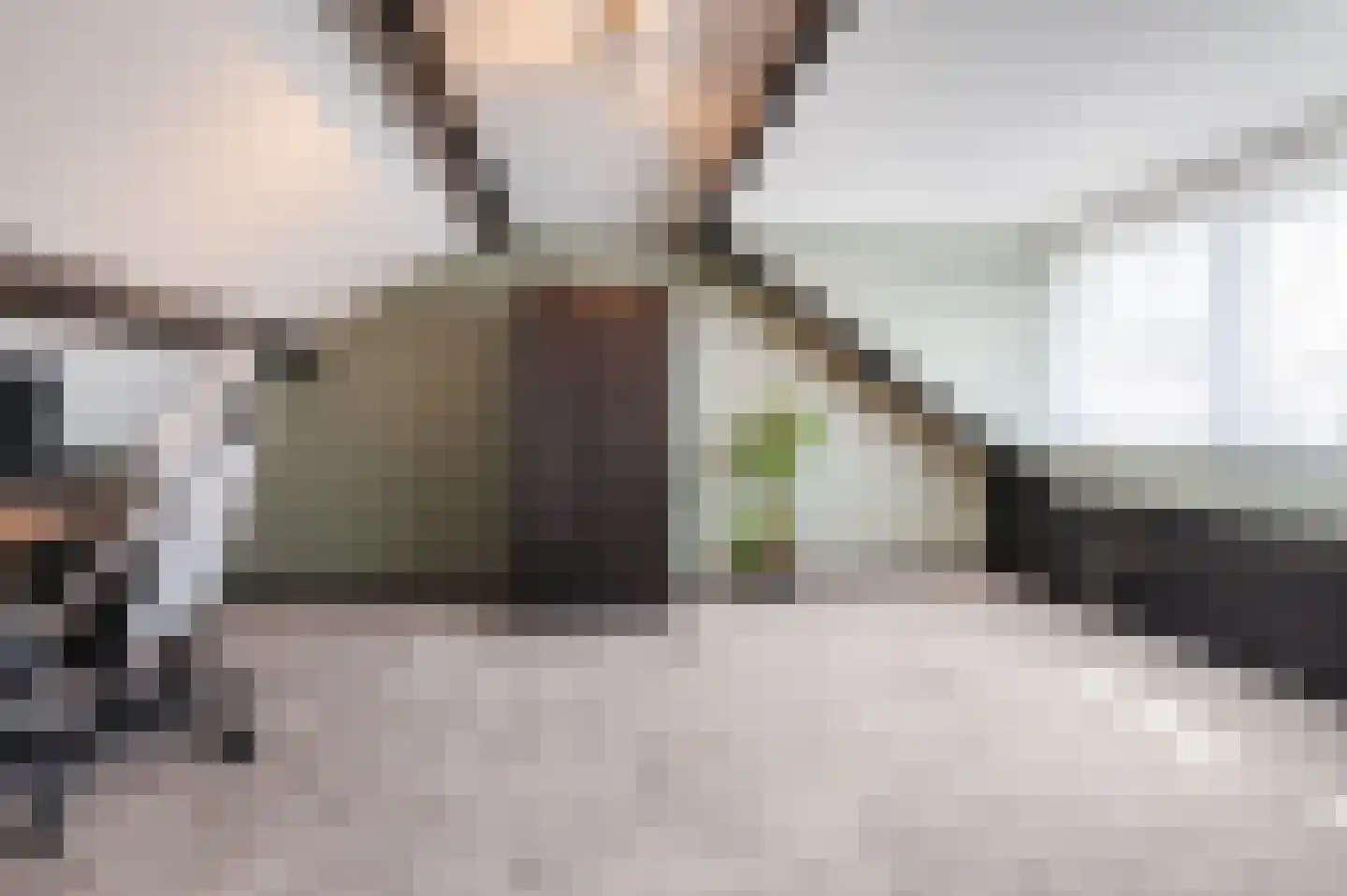 Parkietendonk 29 Veghel thumbnail 33