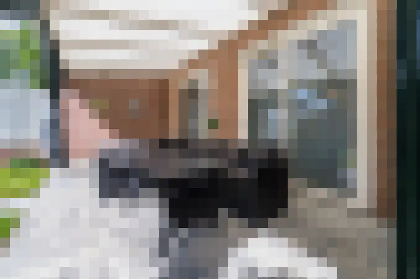 Parkietendonk 29 Veghel thumbnail 37