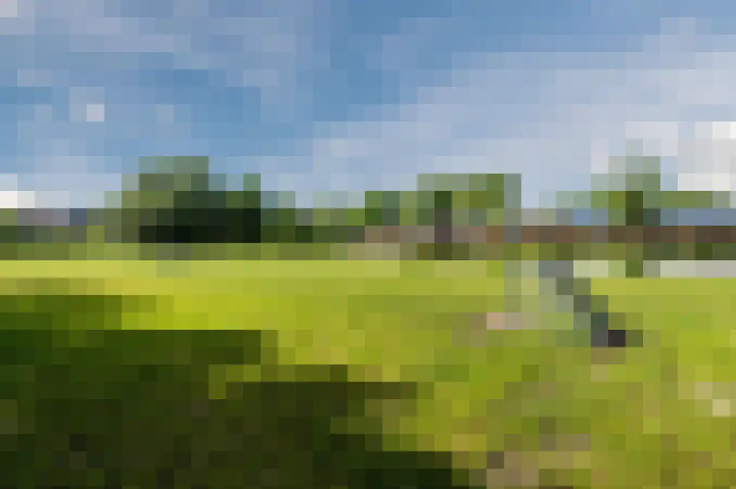 Parkietendonk 29 Veghel thumbnail 46
