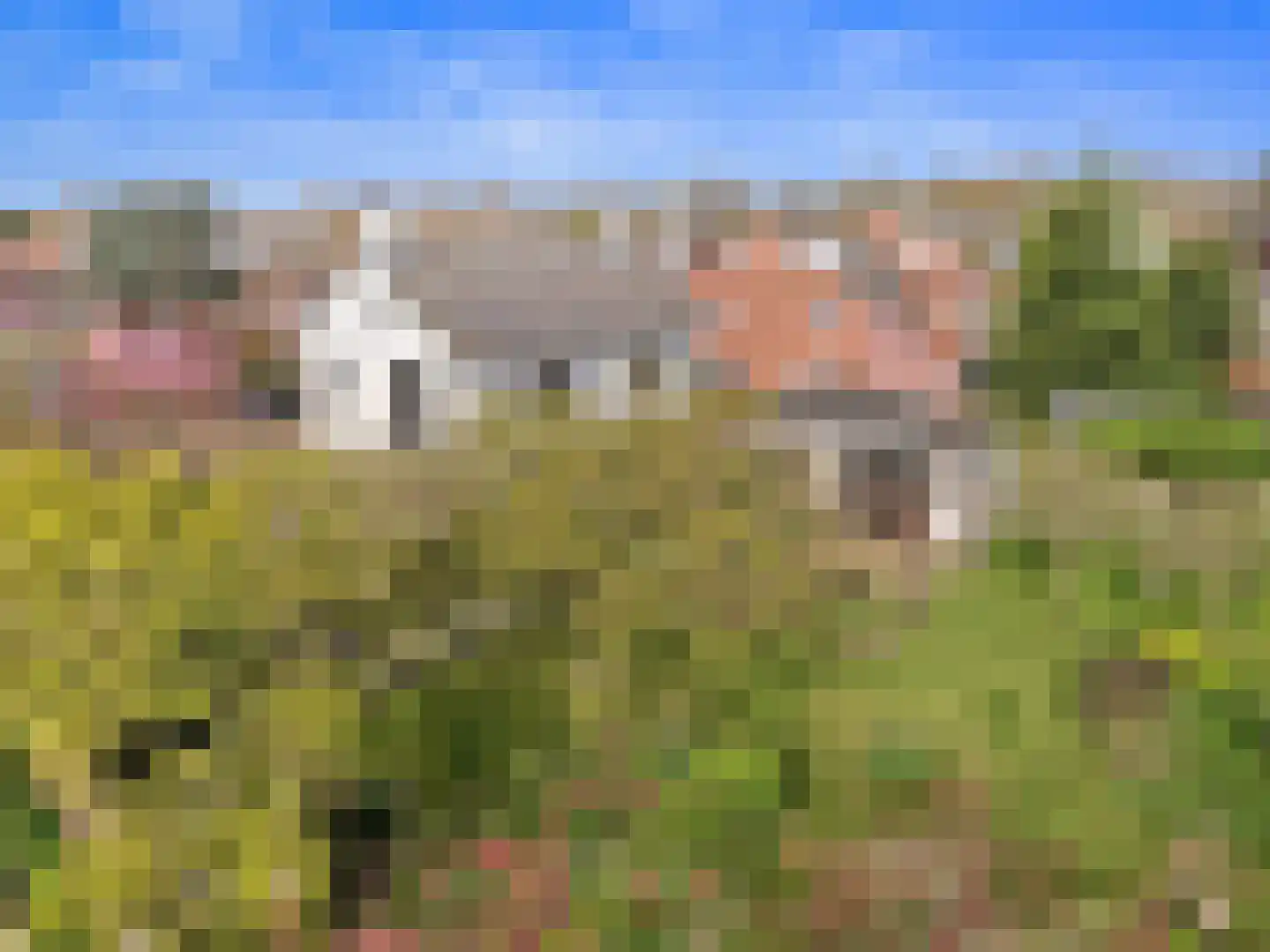 Parkietstraat 12 Badhoevedorp thumbnail 4