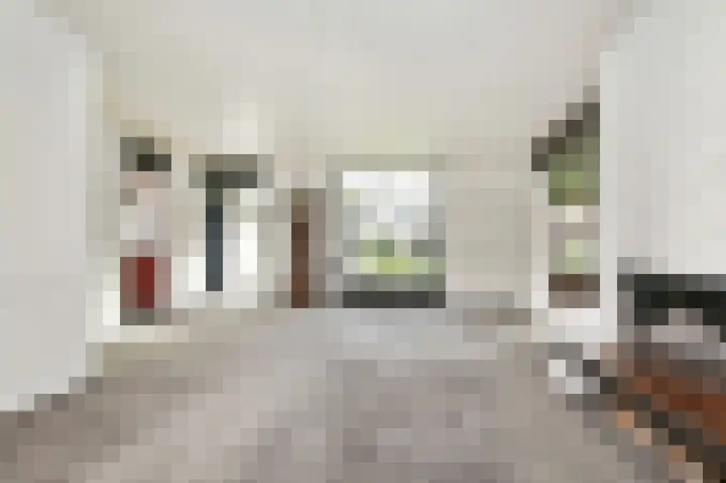 Parkietstraat 12 Badhoevedorp thumbnail 6