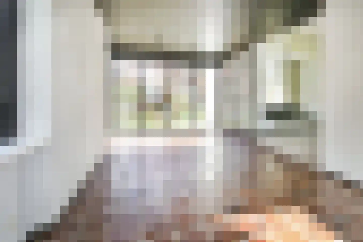 Parkietstraat 12 Badhoevedorp thumbnail 8