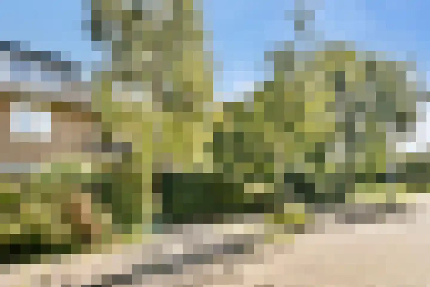 Parkietstraat 40 Badhoevedorp thumbnail 34