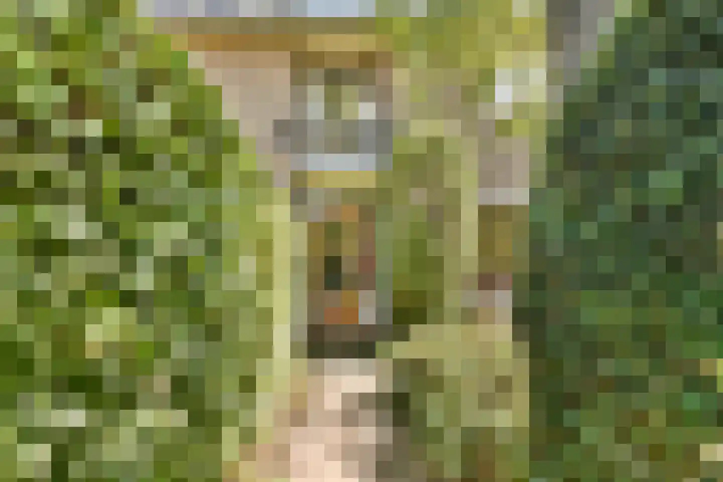 Parkietstraat 40 Badhoevedorp thumbnail 6
