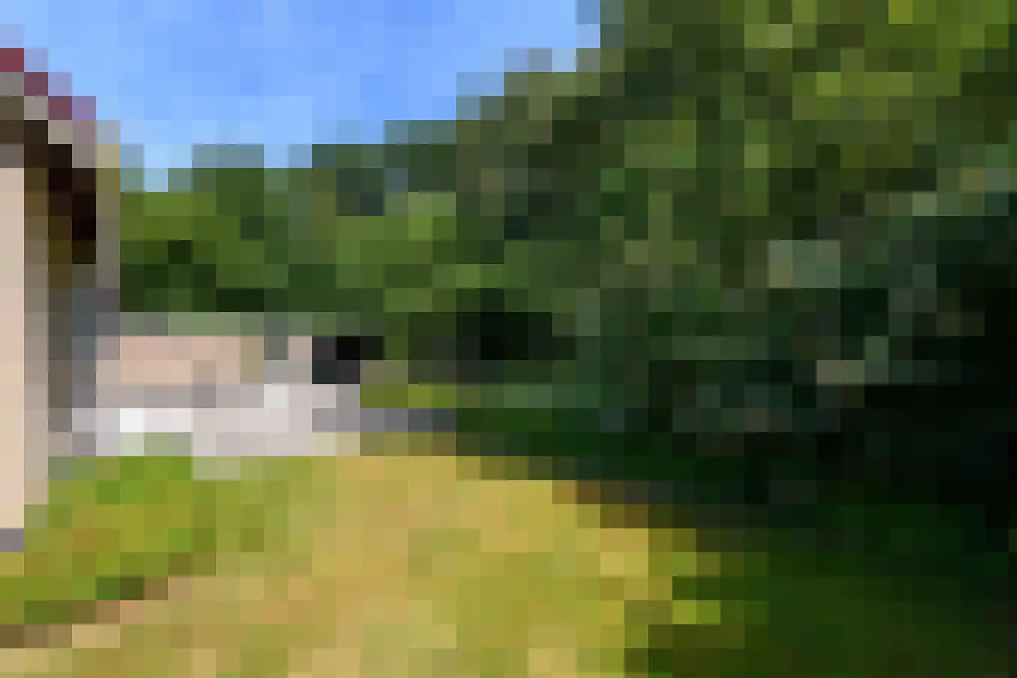Parkkamp 10 Havelte thumbnail 20