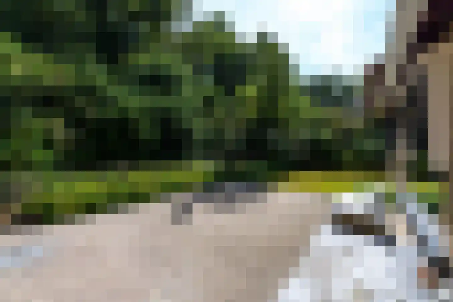 Parkkamp 10 Havelte thumbnail 21